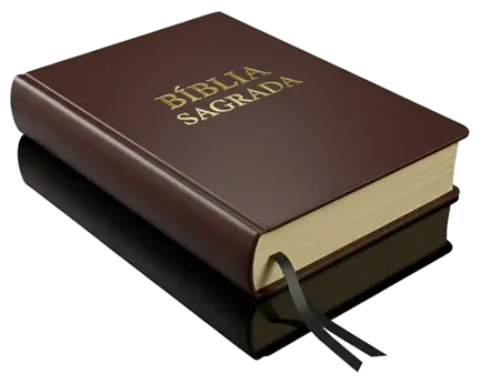 vide-leitura-biblica